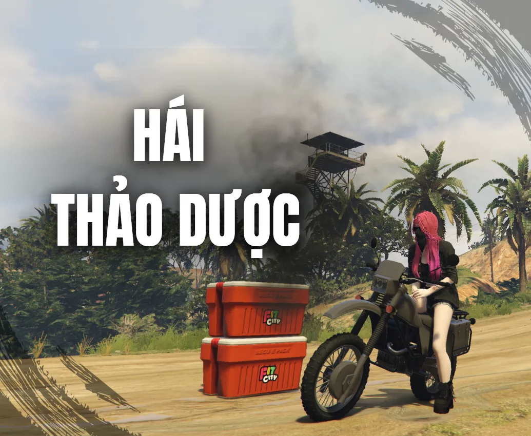 Hái Thảo Dược (NGHỀ BẨN) - LEVEL 0